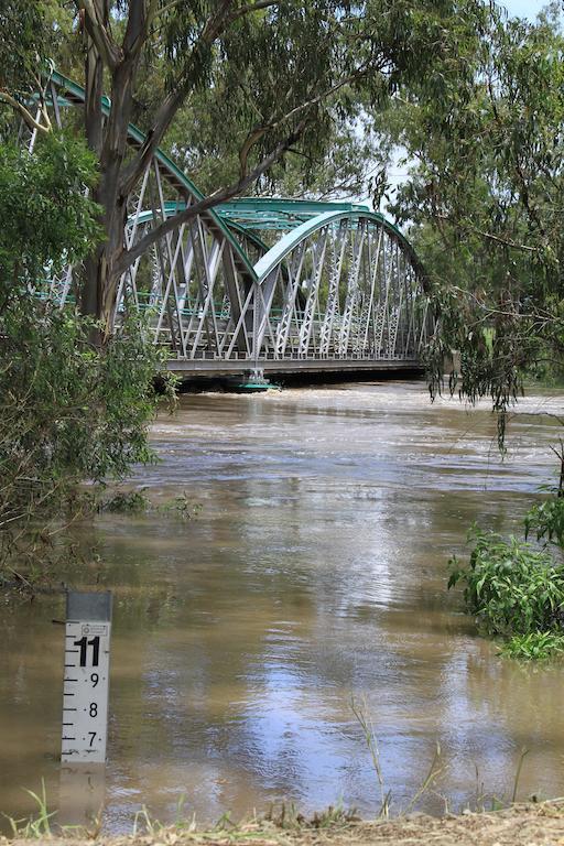 Border Motel Goondiwindi Bagian luar foto
